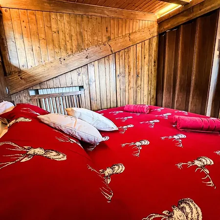 Vicino Le Piste Da Sci *