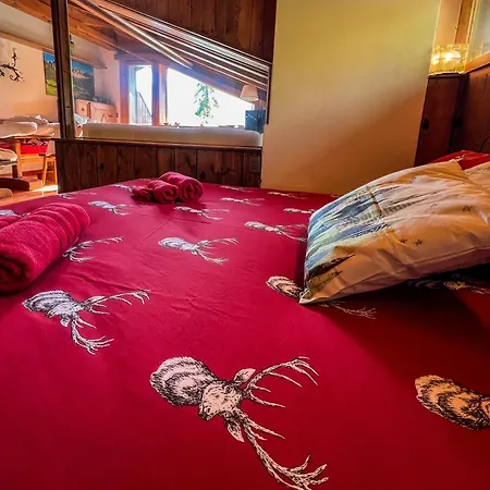 Vicino Le Piste Da Sci Pocol