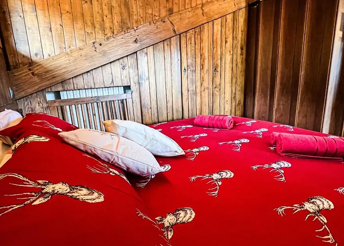 Vicino Le Piste Da Sci *